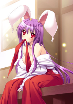 getyournekoshere:cute buns in miko :3