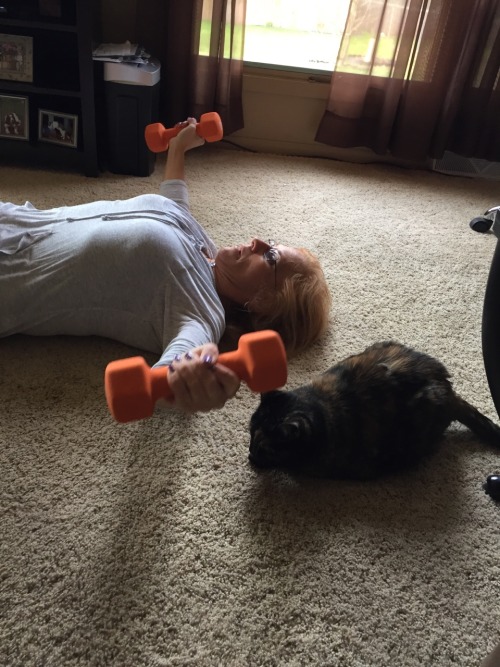 Lily is helping exercise.