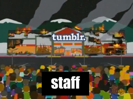 Tumblr media