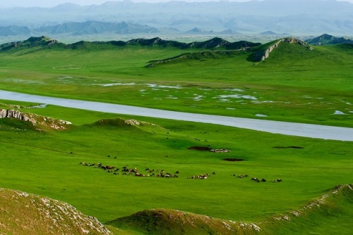 Spring Of Tianshan (The Heavens Mountains)