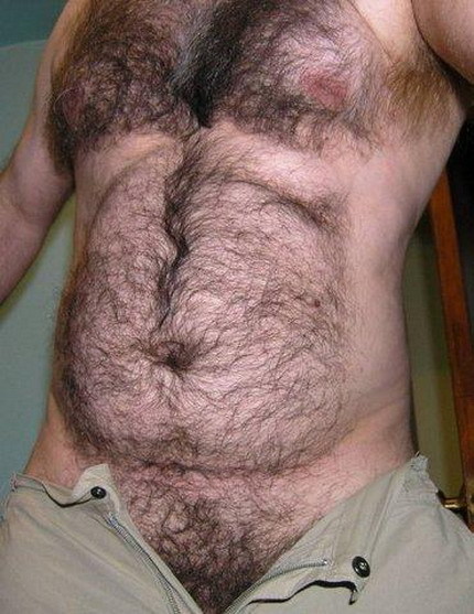 FaceBEAR