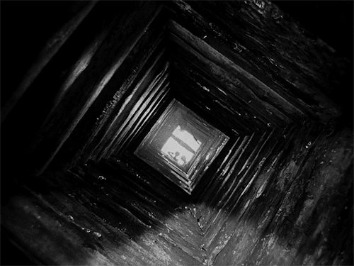 jamesvega:Ivan’s Childhood (1962) dir. Andrei Tarkovsky