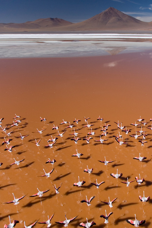 plasmatics-life:   By George Steinmetz  