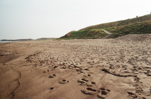  Newbiggin // Northumberland 