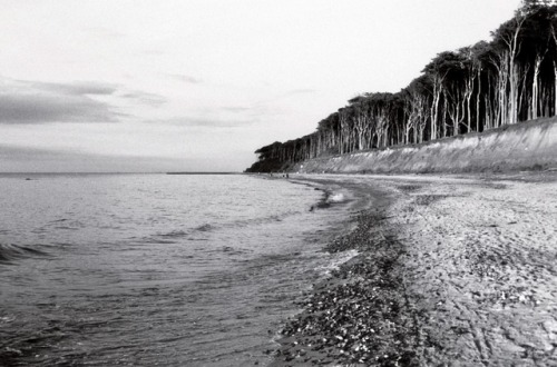 neveralonealwayswithyou: Baltic Sea, Mecklenburg-West Pomerania, GermanyOriginal Photography by http