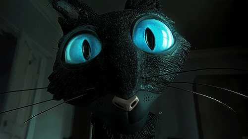 𝓒𝓸𝓻𝓪𝓵𝓲𝓷𝓮🔮🖤🐈‍⬛