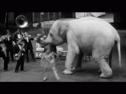 gregclubsandwich:  I saw this in the Ken Burns Documentary Prohibition, and had to make it a gif.  