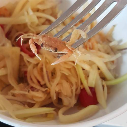 Cute stowaway in the papaya salad I made for lunch today (at Barkbox)