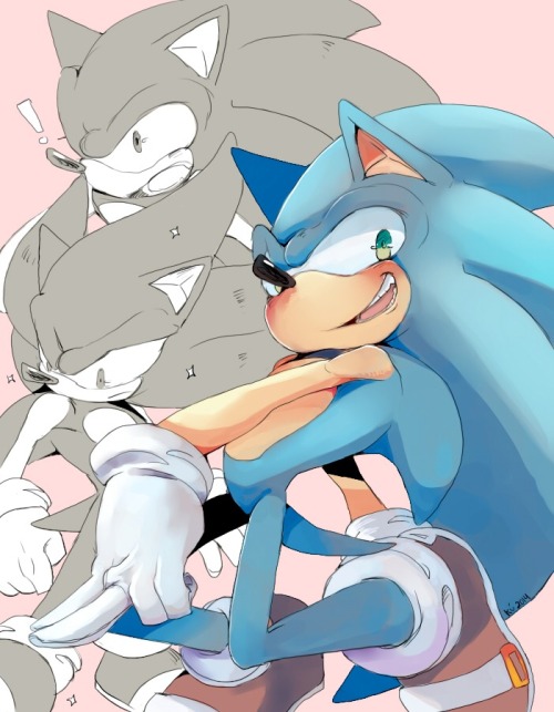 kureymoblog:  Simplemente Sonic.