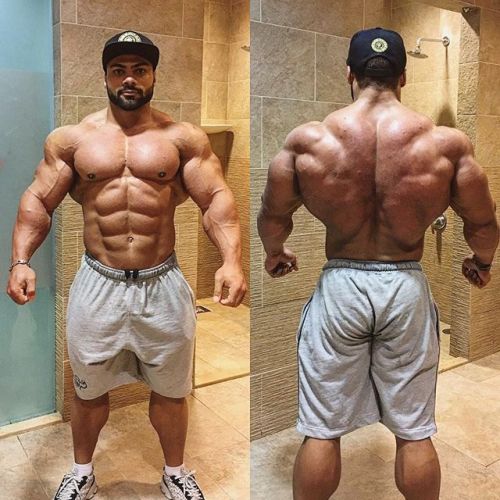 Galal Zakaria