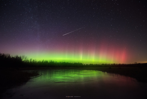 Auspicious - Northern Lights Reflections in Maine, USA [2800x1874] [OC]