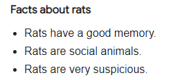 If You Google Rat Facts One Of The Facts Is Rats Are Very Suspicious