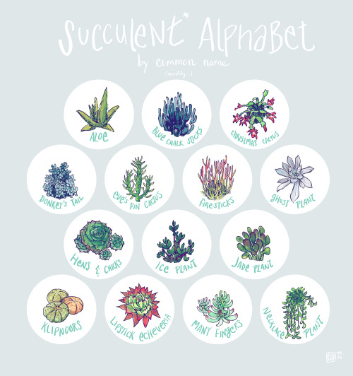 Succulent AlphabetDebating about starting a shop. Would anyone be interested in buying a print of th