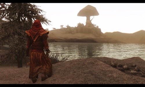 jillian-613:“It’s the homeland of the dunmer. The lesser races call us dark elves.” © Neloth