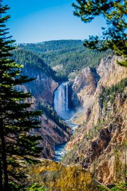 woodsia76:  Artist Point, Yellowstone National