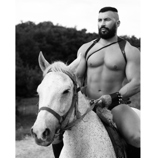 pavel-petel:dark horse