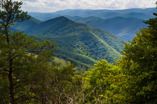 oneshotolive:  Verdant mountains of West Virginia, USA [OC] [2159x1440] 📷: JonathanJessup 