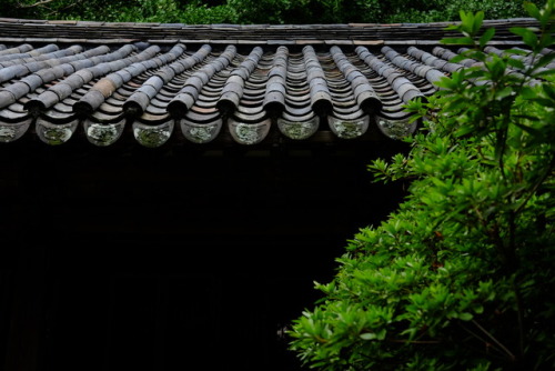 Kamakura