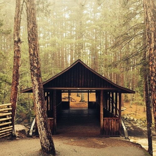 bowhurst:  ×  Let's go on an adventure...   ×  Also on Instagram  × 
