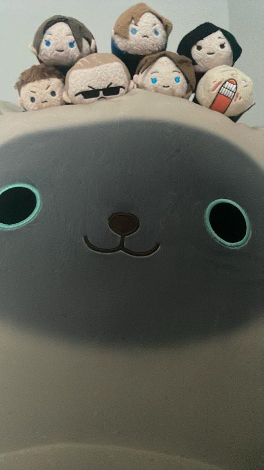 Just In Case You Need The Cuteness Today.