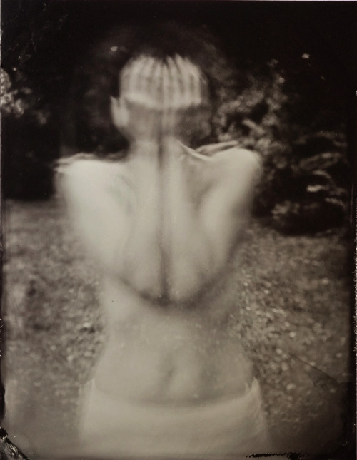 cometsandfog:    © Nadezda Nikolova-Kratzer