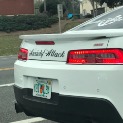 whitelivesdontmatter: my ride is here