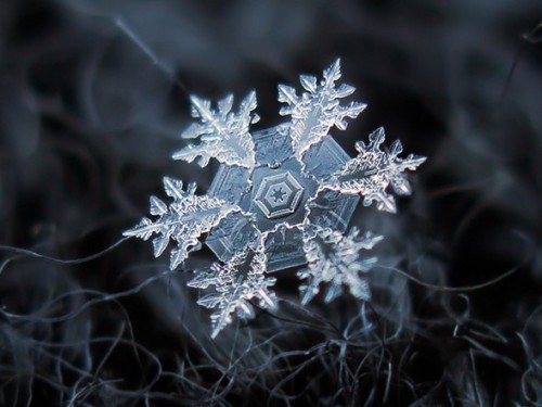 Homemade rig captures extreme macro shots of snowflakes