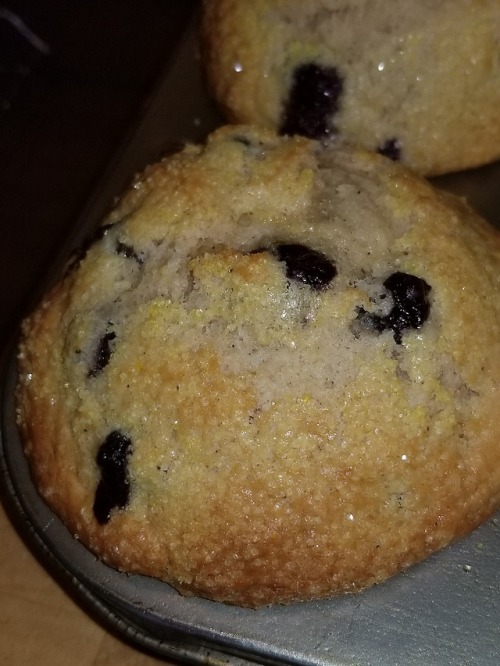 Porn Homemade Blueberry Buttermilk Muffins with photos