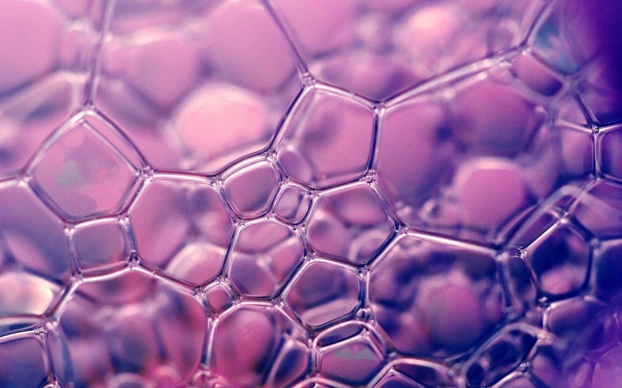 baetology:  purple moods // @thevarnellmancan