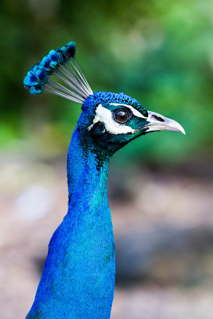 h4ilstorm:  IMG_1766 (by jerrod busbey) 