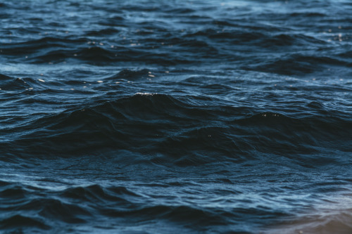 darkcoastphotography:  Wavelengths September 27, 2015 tumblr | flickr | facebook | society6 | instagram Do Not Remove My Credits 