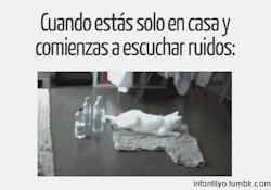 xxx tumblr