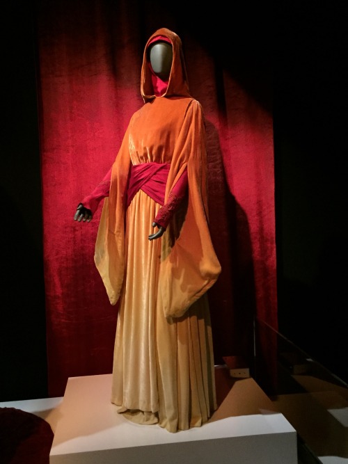 thenoiseinspace:Star Wars Costume Exhibit: Padme EditionI went to the the costume exhibit this weeke