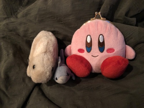 I Get Through The Stress Of Grocery Shopping With The Help Of My Kirby Purse. And The Help Of Floyd The