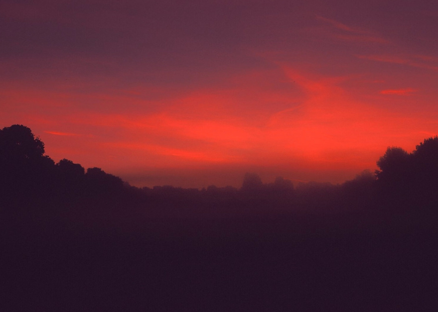 mydarkenedeyes:Rob Stanier
