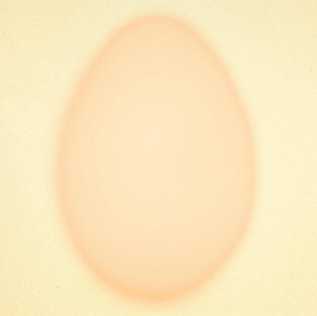 Egg ☁️😌 (at Evening)
https://www.instagram.com/p/BnuNZf8BiLc/?utm_source=ig_tumblr_share&igshid=6w9wa48ggkuy
