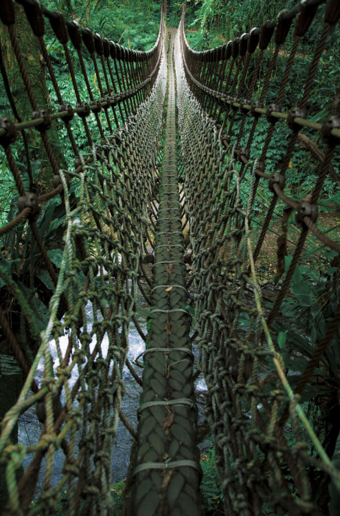 lori-rocks:  My Adventure, Taiwan Suspension Bridge, by Hanson Mao