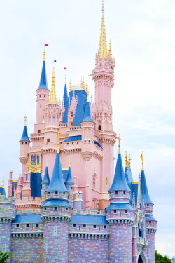 succubxbe: The Disney Castle is so beautiful!