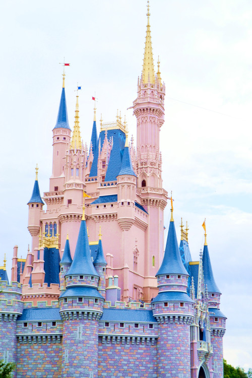 succubxbe: The Disney Castle is so beautiful! New Florida blogpost ♡