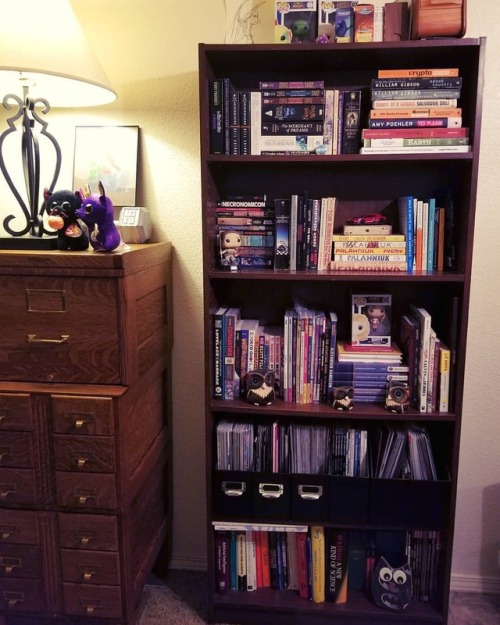 Bookshelves for @redpandascare! The first two are downstairs, and the others are the glorious view I