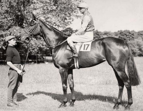 fivegaited:greymichaela:afleetalexandra:Dead Man RidingFrank Hayes, stableman and trainer by trade, 