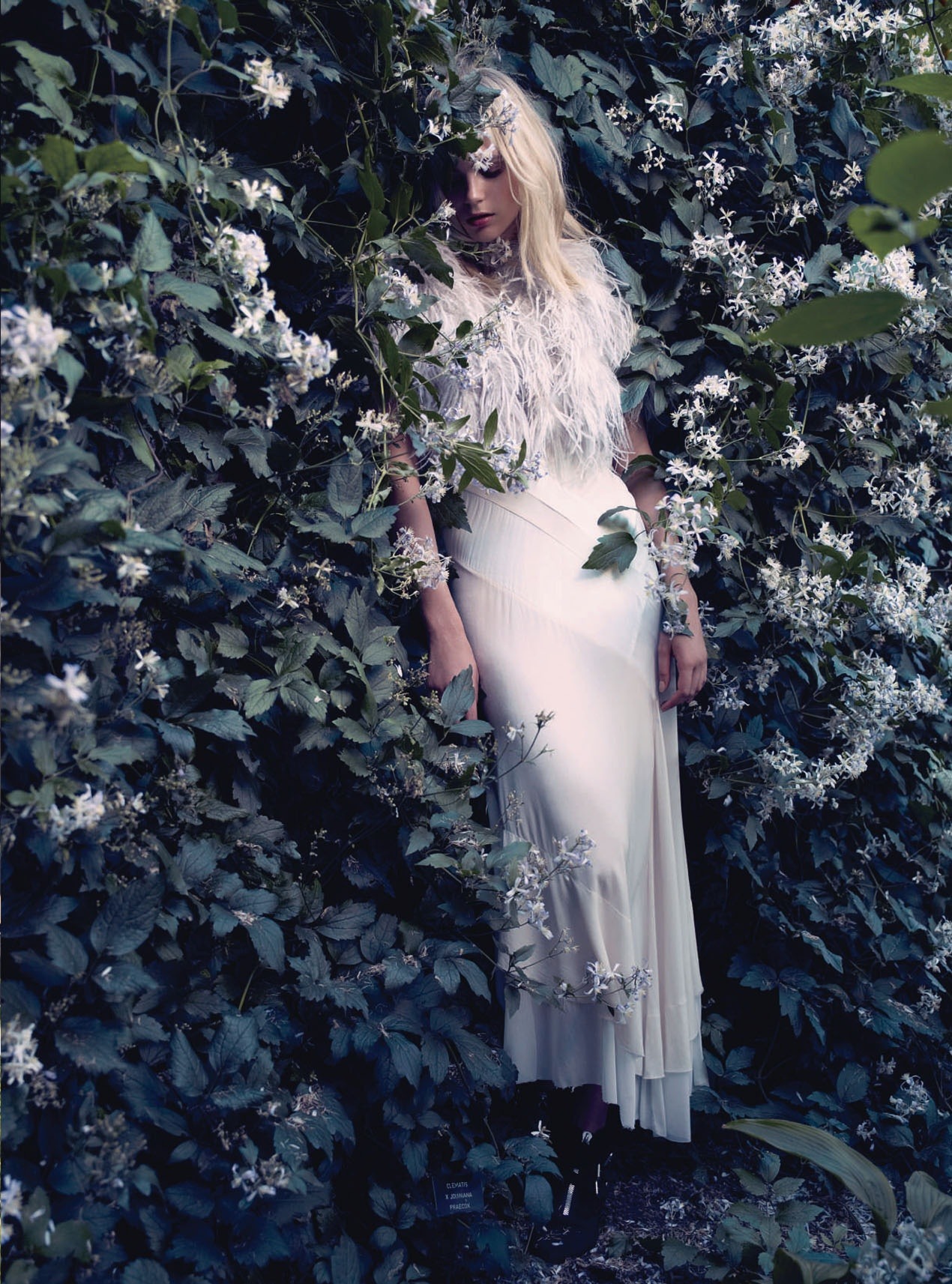 gasstation:  Juju Ivanyuk - ”Fair Maiden” by David Slijper for Harper’s Bazaar