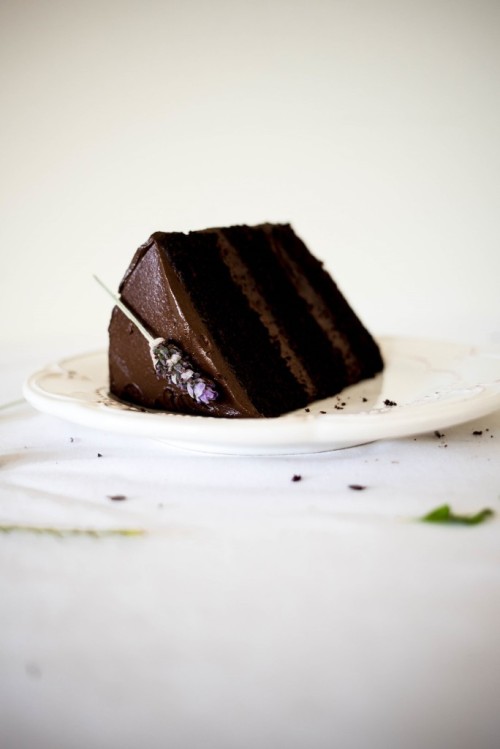 cageofstars:  dark chocolate & lavender cake