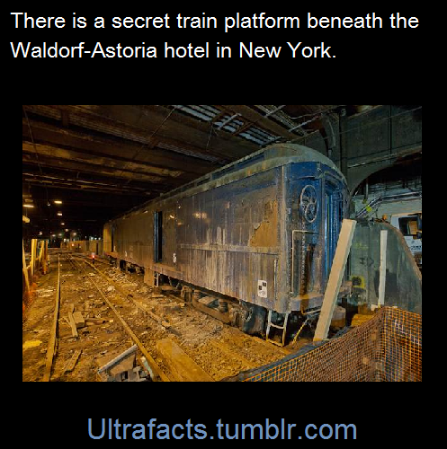 ultrafacts:There’s also hundreds of closed subway stations around the world, some