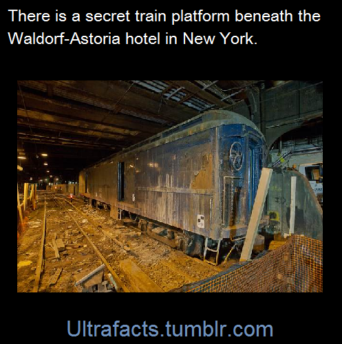 ultrafacts:There’s also hundreds of closed subway stations around the world, some that are totally abandoned and others re-purposed. One of the most beautiful discontinued subway stations is the City Hall loop in NY. (Fact Source) Follow Ultrafacts