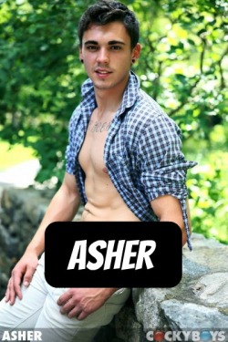 ASHER at C*ckyB*ys - CLICK THIS TEXT to see the NSFW original.  More men here: http://bit.ly/adultvideomen