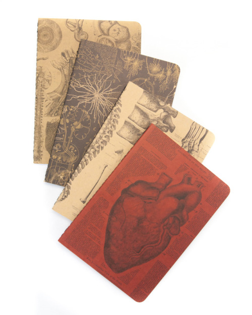 cognitive-surplus: The Research Series: Pocket Notebook packs of 4 for field notes.  https://cogniti