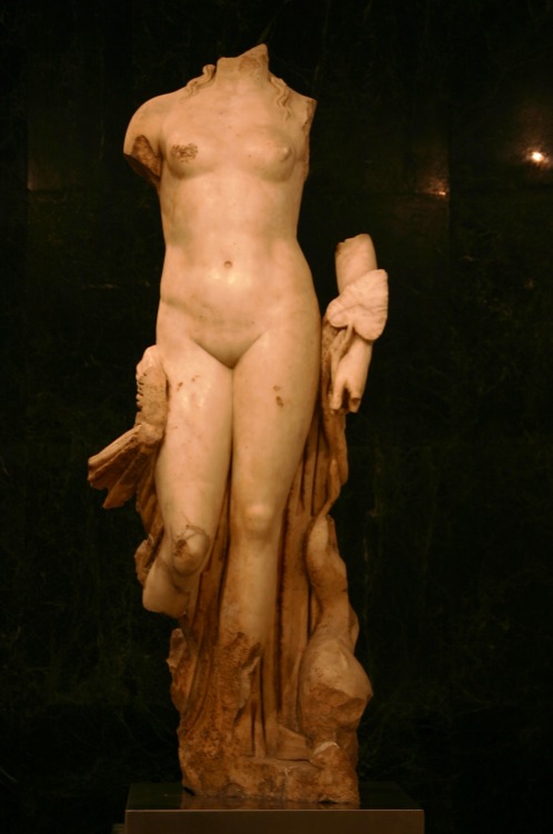 Venus of ItalicaA 2nd-century Roman marble statue depicting goddess Venus. It was found in emperor T