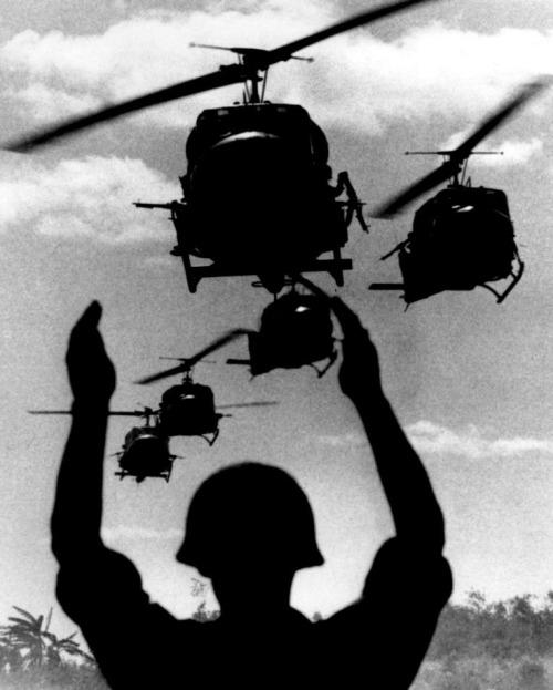 Eyes to the Skies