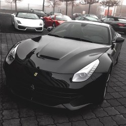 lovingdiorlv:  Ferrari F12 Berlinetta Beautiful